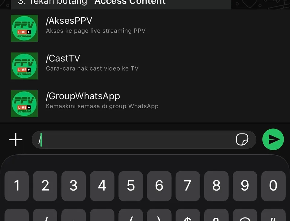 The WhatsApp command menu showing /AksesPPV, /CastTV and /GroupWhatsApp